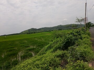 Plot Area in  Plot at Jui – for Sale