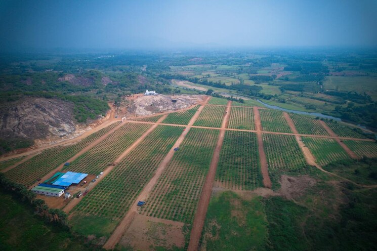 Exterior View, devada Commercial Land 240 Sq.Yd. In Devada Vizag 8152154