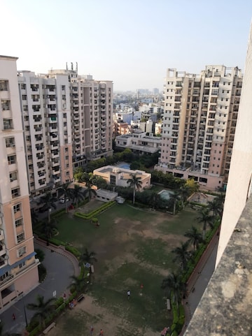 2 BHK Apartment For Rent in Eros Wembley Estate Sector 50 Gurgaon  8152247