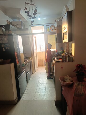 3 BHK Apartment For Rent in Amrapali Silicon City, Sector 76