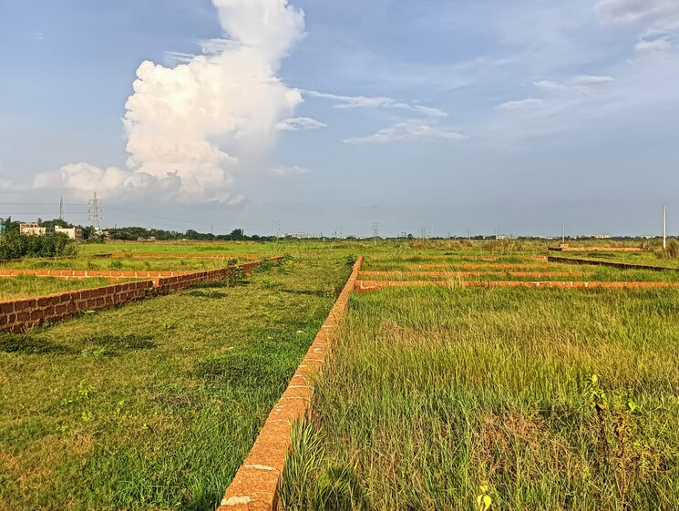 undefined, sijua  1600 Sq.Yd. Plot In Sijua Bhubaneswar 8152420