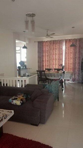 3.5 BHK Apartment For Rent in Omaxe The Nile Sector 49 Gurgaon  8152476