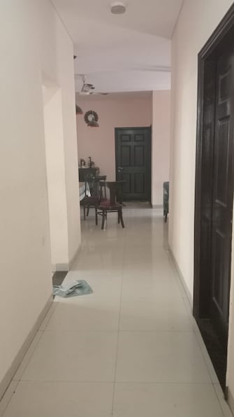 3.5 BHK Apartment For Rent in Omaxe The Nile Sector 49 Gurgaon  8152476