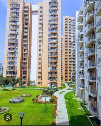 2 BHK Apartment For Rent in Pioneer Park Phase 1 Sector 61 Gurgaon  8152490