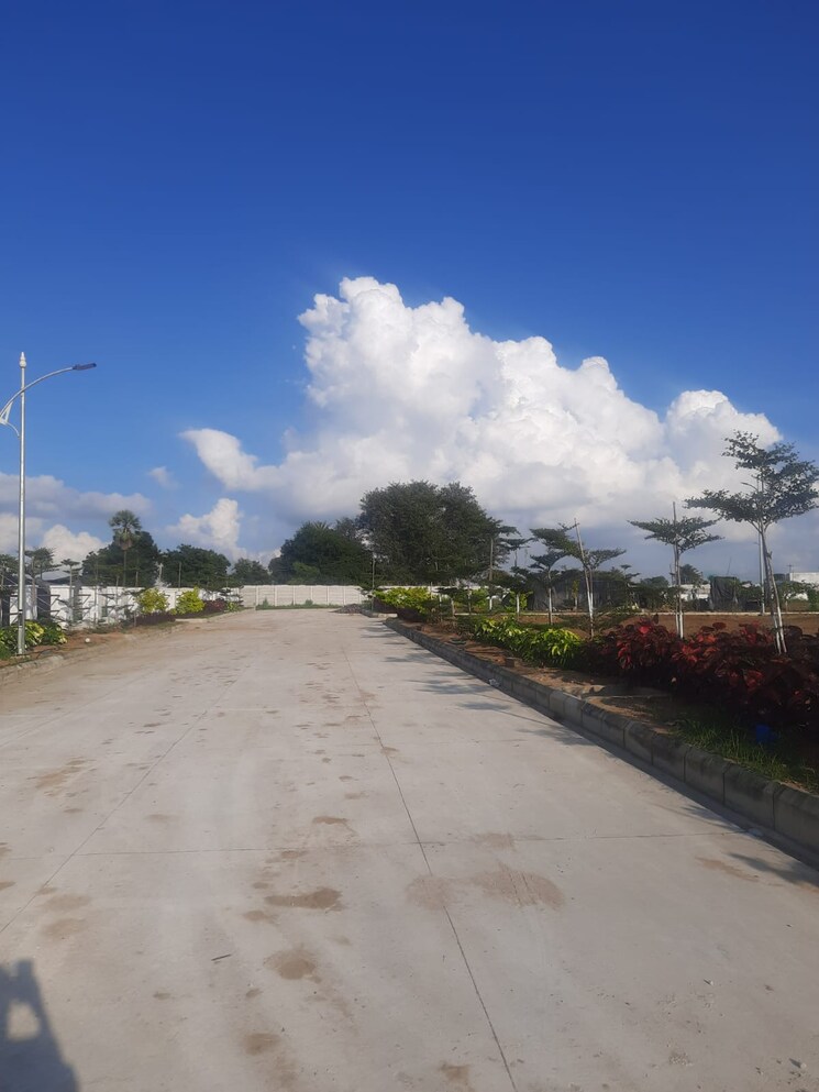 undefined, gollor  250 Sq.Yd. Plot In Gollor Hyderabad 8152517