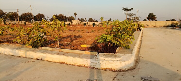 undefined, gollor  250 Sq.Yd. Plot In Gollor Hyderabad 8152517