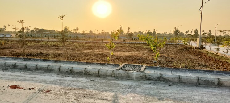 undefined, gollor  250 Sq.Yd. Plot In Gollor Hyderabad 8152517