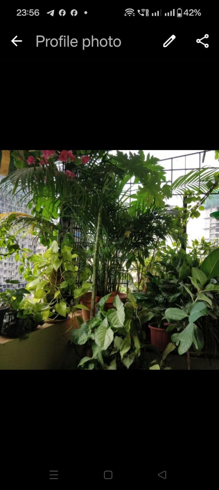 Garden, madhav-palacia 2 Bedroom 680 Sq.Ft. Apartment In Ghodbunder Road Thane 8152568