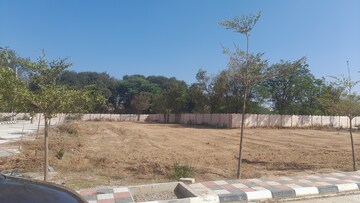 Plot Area in  Plot at Peddapur – for Sale