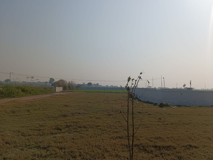 undefined, jdia-dream-city  100 Sq.Yd. Plot In Jewar Greater Noida 8153351