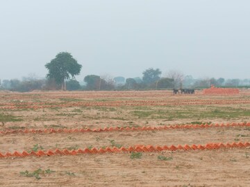  Plot For Sale in Sector 143