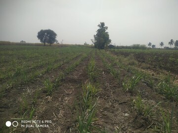 Plot Area in  Land at Kasaba Bawada – for Sale