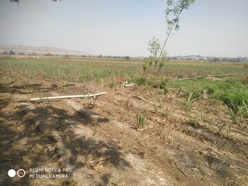 Commercial Land 4235 Sq.Ft. For Resale in Kasaba Bawada Kolhapur  8144173