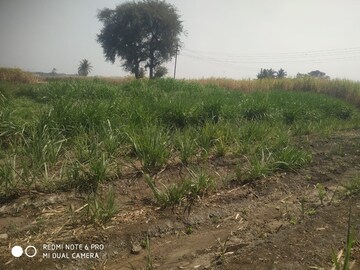 Plot Area in  Land at Kasaba Bawada – for Sale