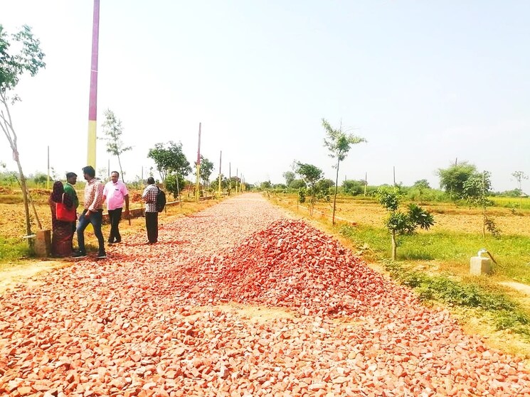 Garden, beta i greater noida  200 Sq.Yd. Plot In Beta I Greater Noida Greater Noida 8153857