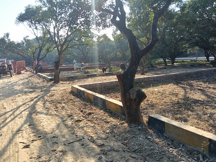 undefined, dubagga  1000 Sq.Ft. Plot In Dubagga Lucknow 8153940