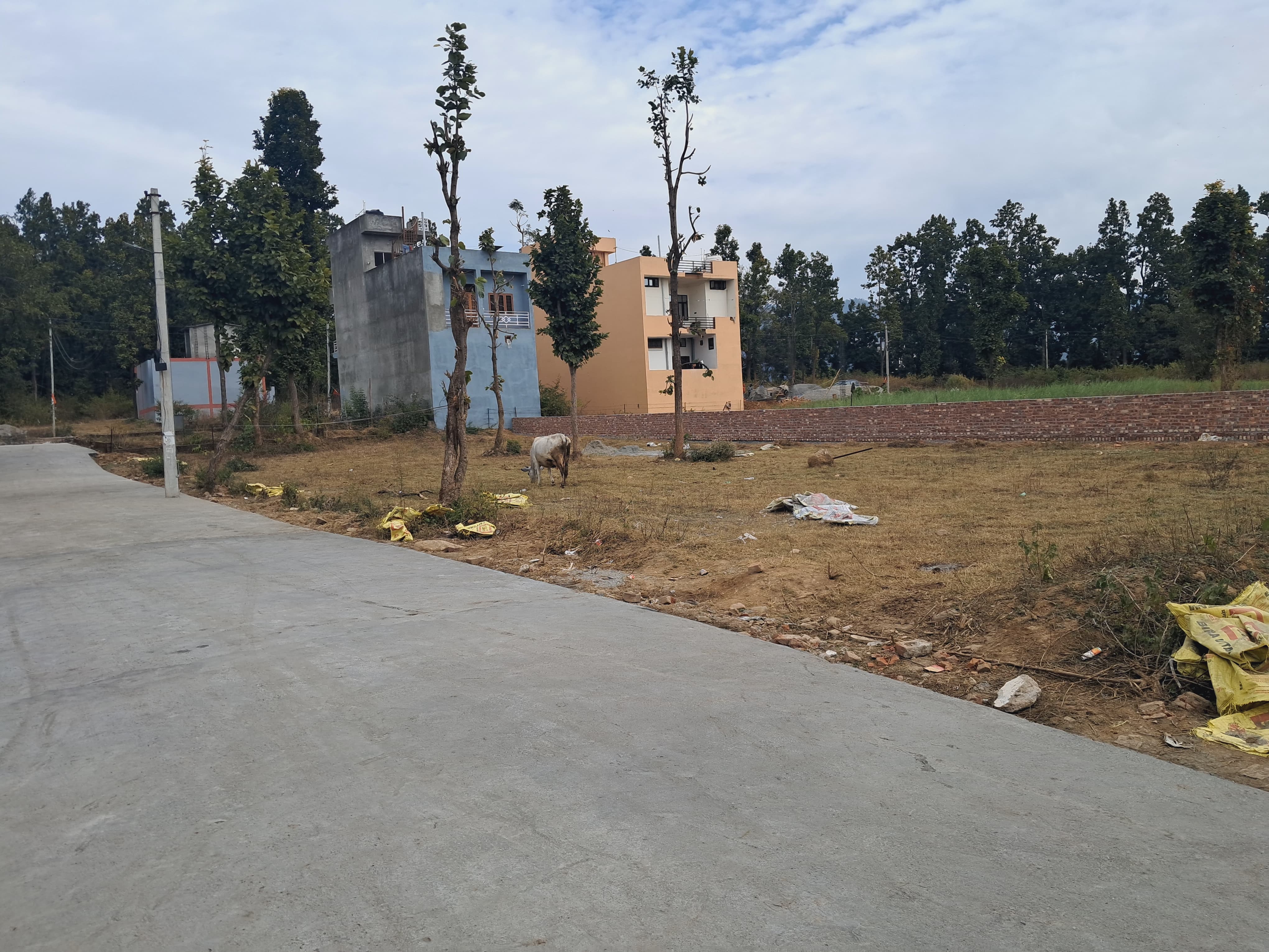 Plot For Sale in Raipur Greens 