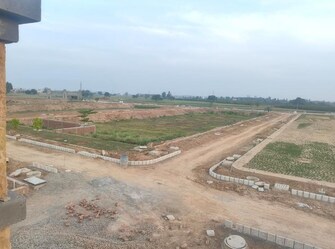 Plot For Resale in Sector 12 Panchkula Panchkula  8154106