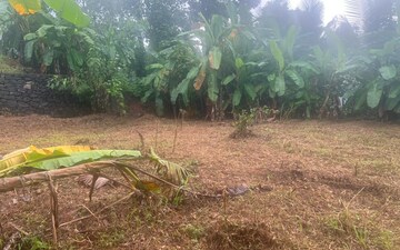 Plot For Sale in Kanjirappally