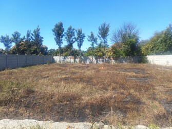 Plot For Resale in Budigere Road Bangalore  8154441