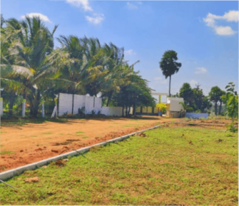 Plot For Resale in Kinathukadavu Coimbatore  8154825