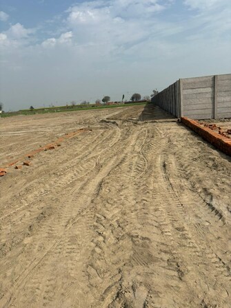 Plot For Resale in Manjhawali Faridabad  8154878