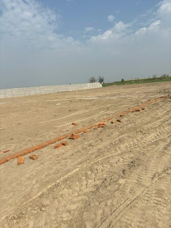 Plot For Resale in Manjhawali Faridabad  8154878