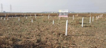 Plot Area in  Plot at Chirner – for Sale