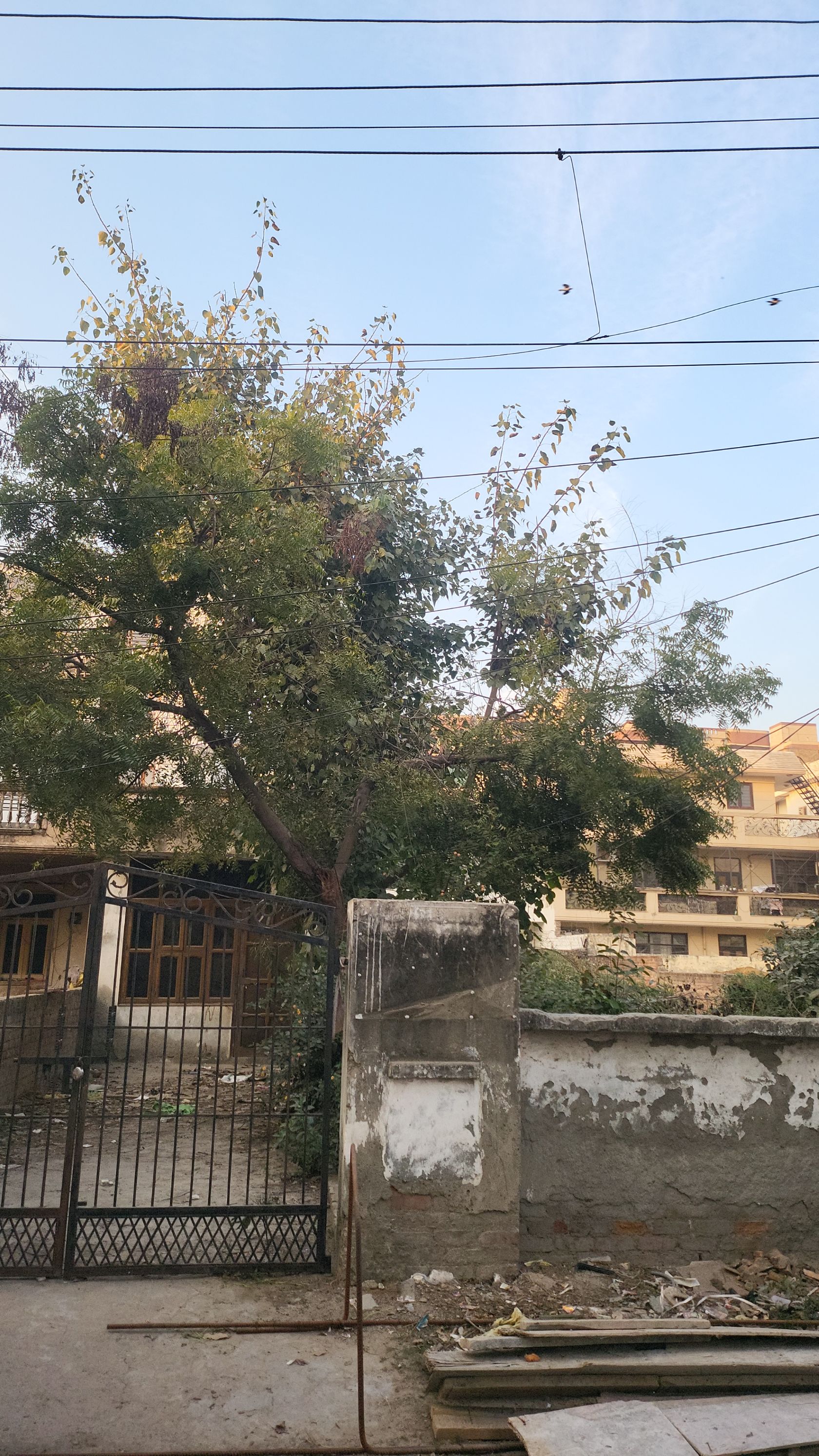 Plot For Sale in 500 Sqyd Plot For Sale