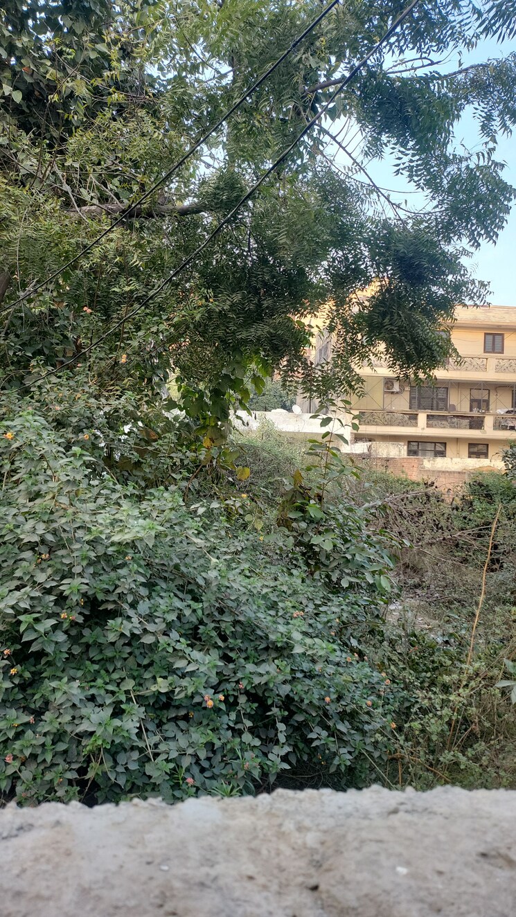 undefined, sector 46  500 Sq.Yd. Plot In Sector 46 Faridabad 8154953