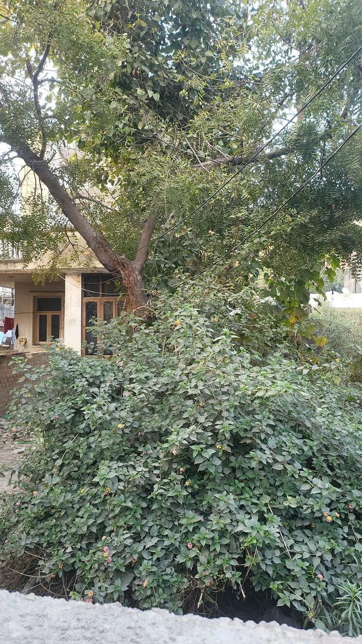 Garden, sector 46  500 Sq.Yd. Plot In Sector 46 Faridabad 8154953