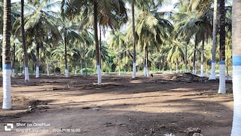 Commercial Land 5000 Sq.Ft. For Resale in Othakalmandapam Coimbatore  8144830