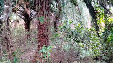  Plot – Exterior View View at New Town Action AreA-Iii - for Sale