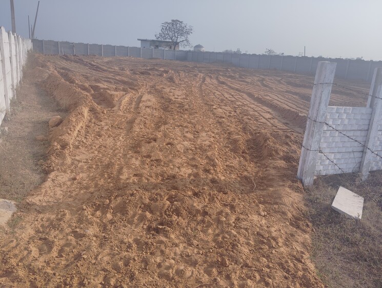 undefined, pp-greens  500 Sq.Yd. Plot In Manjhawali Faridabad 8155559