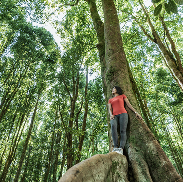 Garden, lodha-woods 4 Bedroom 1511 Sq.Ft. Apartment In Lokhandwala Township Kandivali Mumbai 8155754