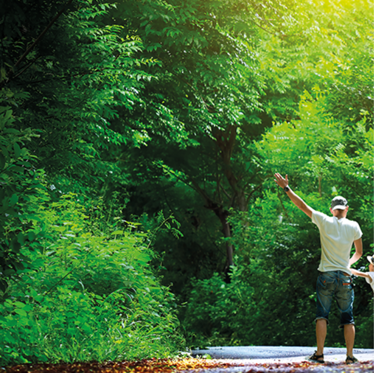 Garden, lodha-woods 4 Bedroom 1511 Sq.Ft. Apartment In Lokhandwala Township Kandivali Mumbai 8155754