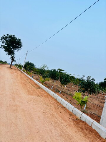 Plot Area in  Plot at Mucherla – for Sale
