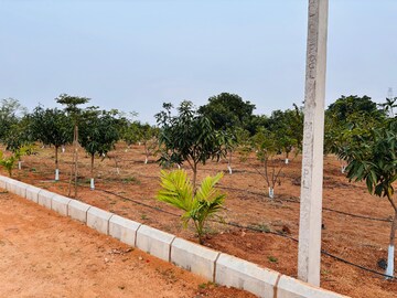 Plot Area in  Plot at Mucherla – for Sale