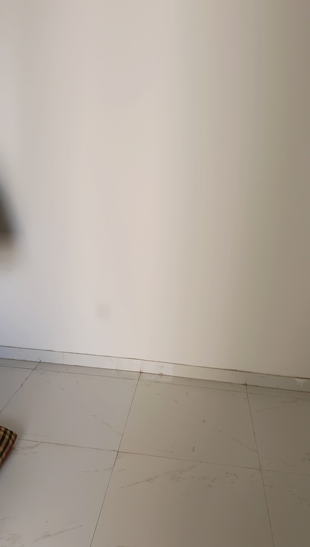 1 BHK Apartment For Sale in Runwal Gardens