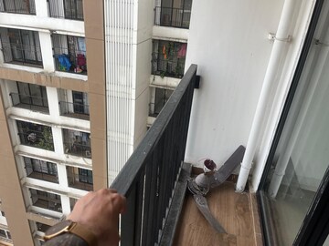 Balcony in 2 BHK Apartment at Runwal My City, Dombivli East – for Sale