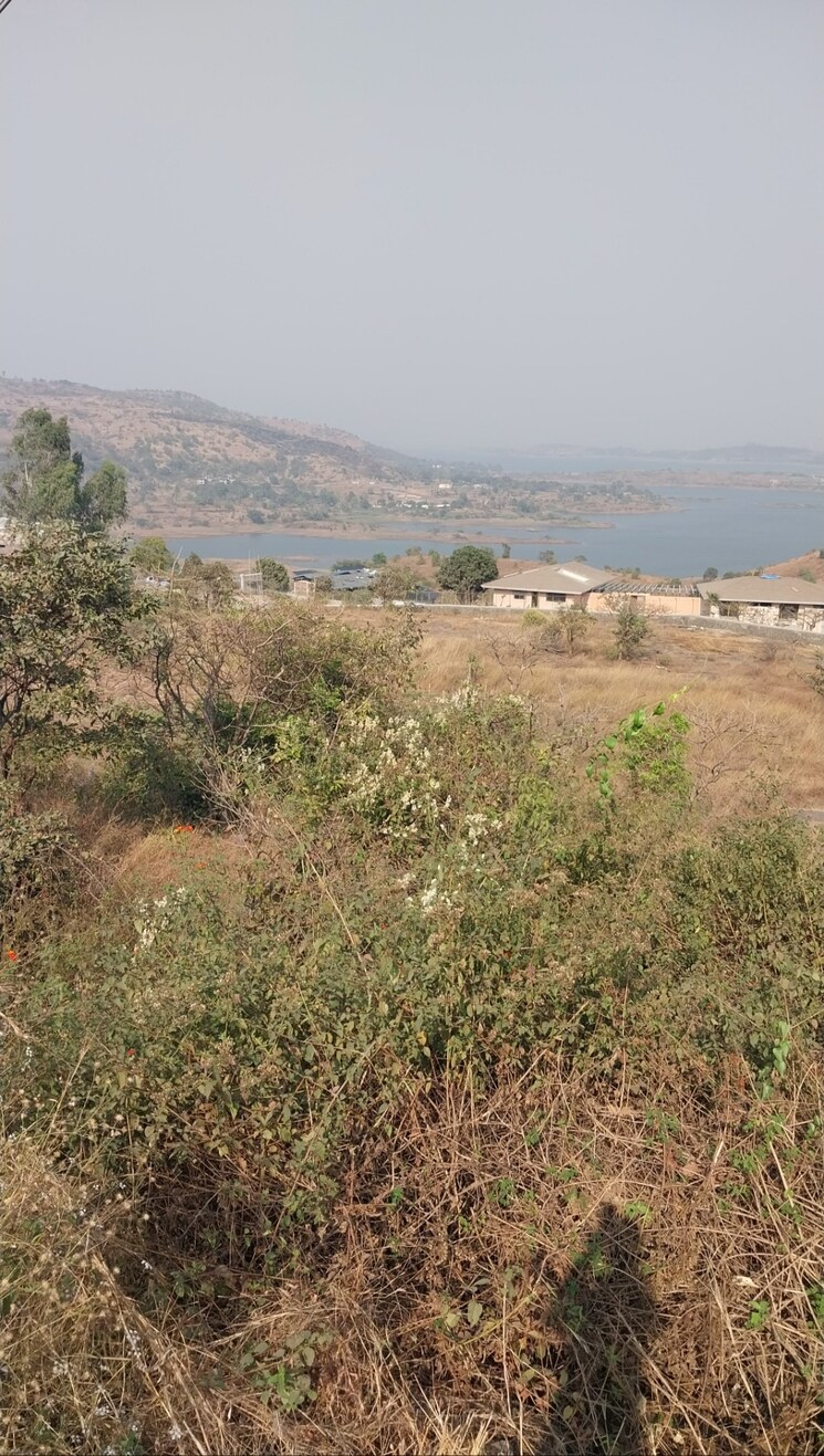 undefined, pavana lake  3 Acre Plot In Pavana Lake Lonavla 8155980