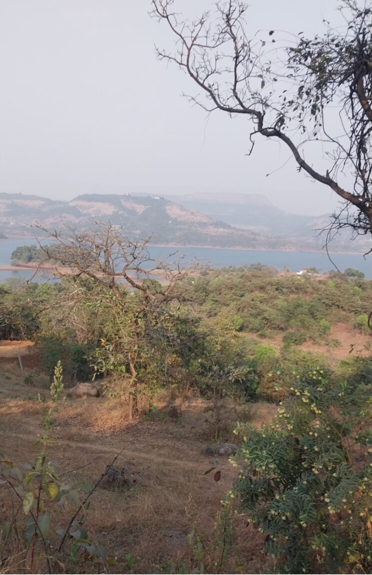 undefined, pavana lake  6 Acre Plot In Pavana Lake Lonavla 8156002