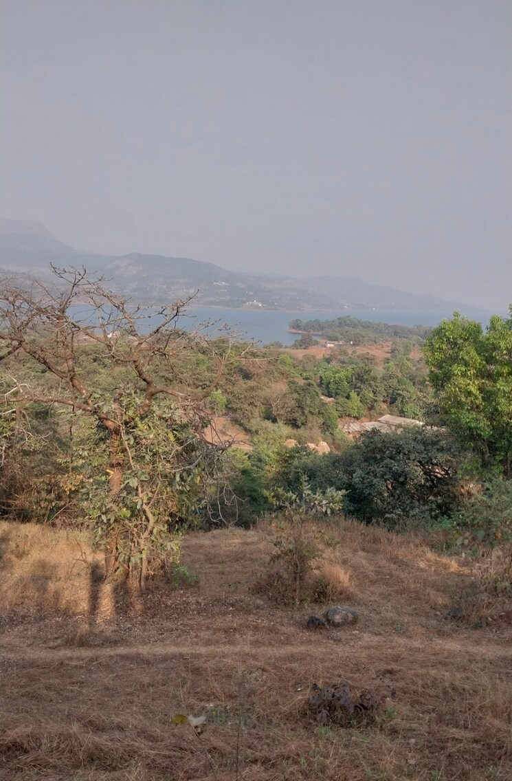 undefined, pavana lake  6 Acre Plot In Pavana Lake Lonavla 8156002