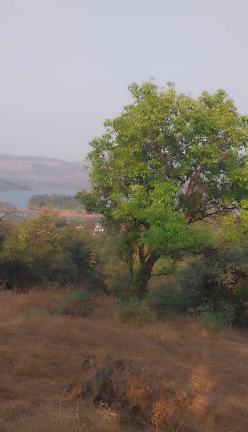  Plot – Garden View at Pavana Lake - for Sale