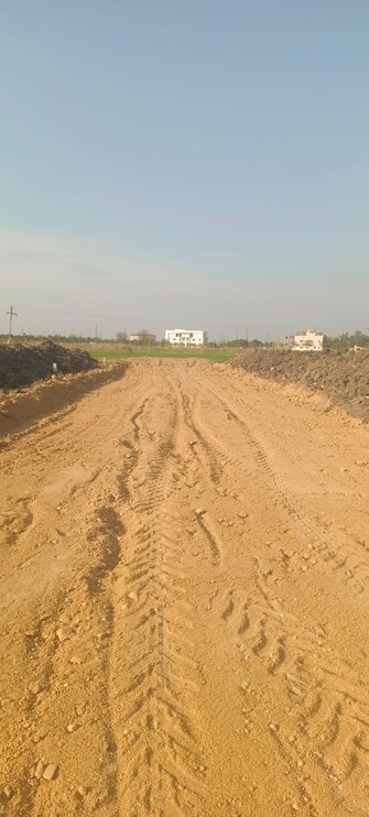 Plot For Resale in Akshaya Residency Adibatla Adibatla Hyderabad  8156096