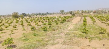 Plot Area in  Land at Musheerabad – for Sale
