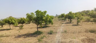 Commercial Land 605 Sq.Yd. For Resale in Musheerabad Hyderabad  8156278