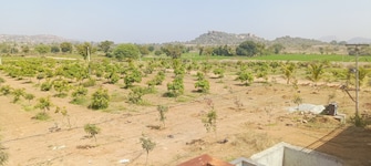 Commercial Land 605 Sq.Yd. For Resale in Musheerabad Hyderabad  8156278