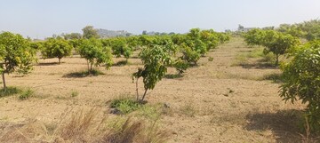 Plot Area in  Land at Musheerabad – for Sale
