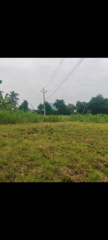 Plot For Resale in Vedantapuram Village Tirupati  8150292